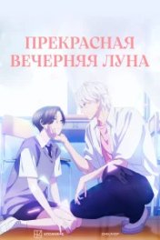 Прекрасная вечерняя луна